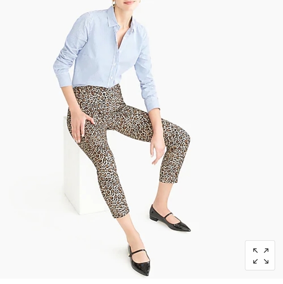 J Crew Factory Winnie Pant in leopard print - Picture 1 of 3